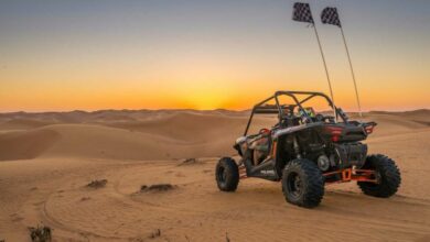 what-makes-a-buggy-tour-in-dubai-desert-special?