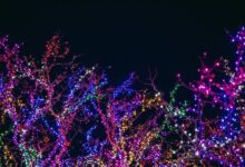 top-7-benefits-of-professional-holiday-light-installation-services